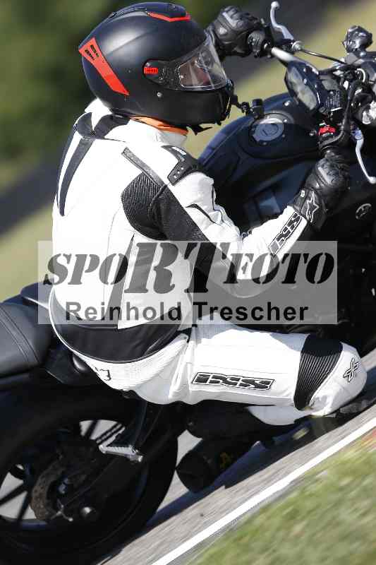 /46 11.08.2025 PADDYS-RACES-DAYS ADR/Sport-Profi/7